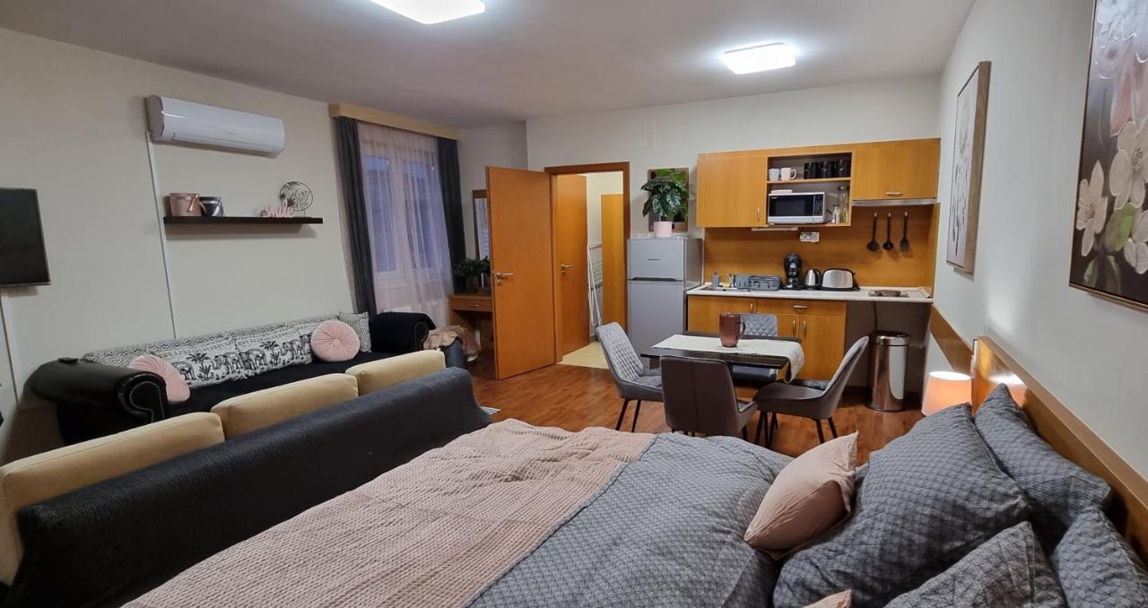 דירות Relax Wellness Studio Hajdúszoboszló מראה חיצוני תמונה